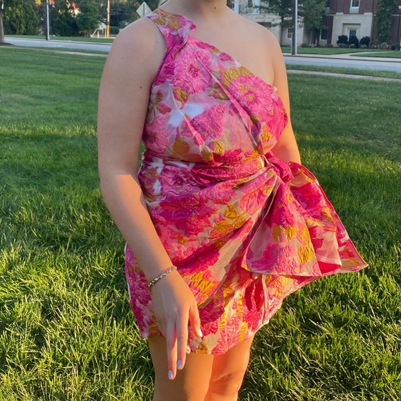 ShowPo Brailey Dress in Pink Floral - Picture 3 of 3